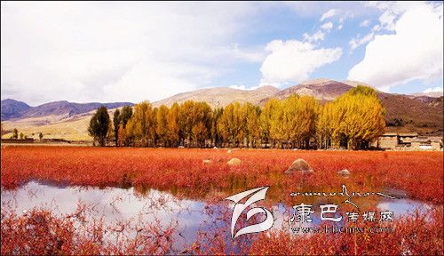 稻城亞?。?一個美得驚世駭俗的地方