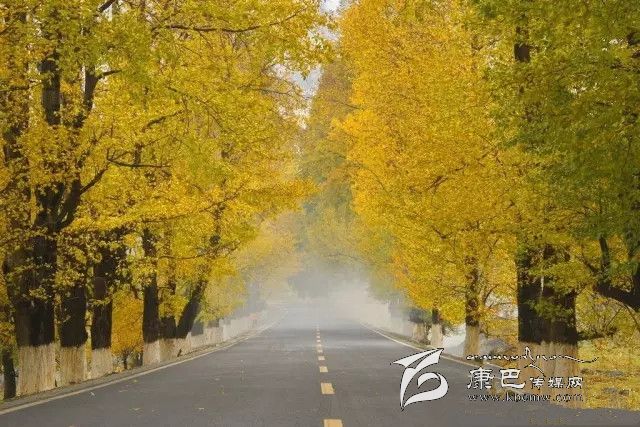 康定新都橋，有一條黃金大道通往夢(mèng)中的天堂