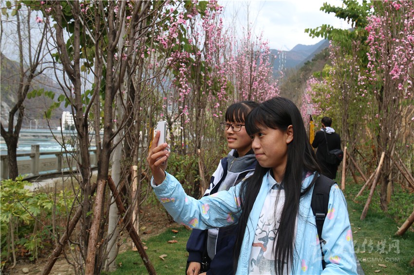春光俏！“醉”是瀘定春三月，踏青賞花正當時