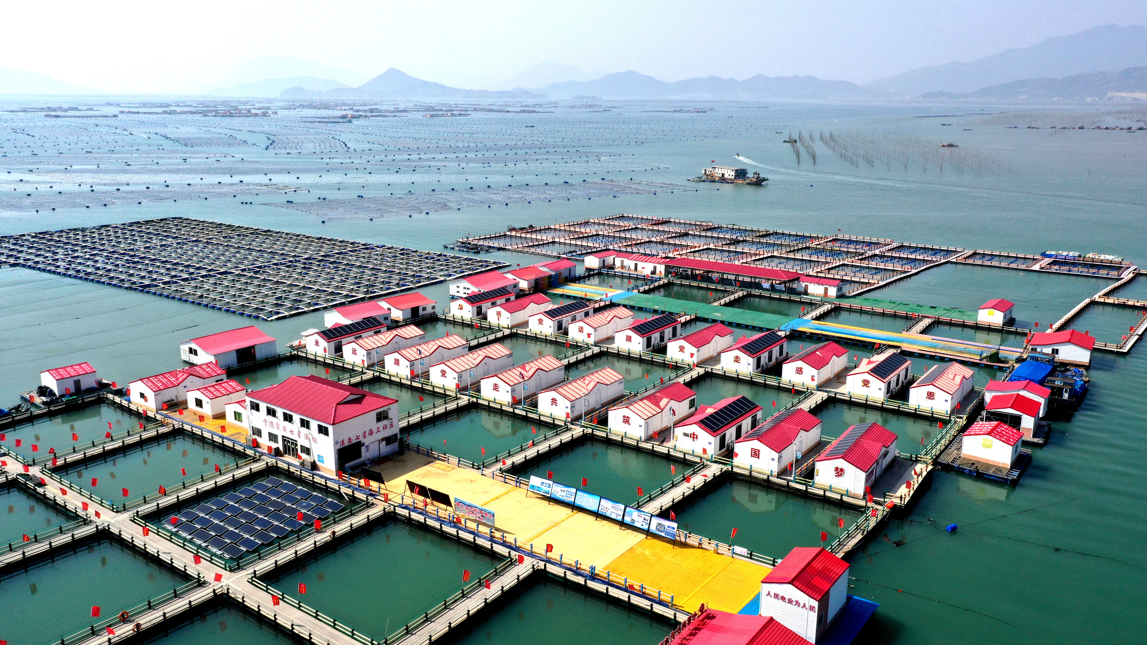 2024年3月20日，福建省寧德市，霞浦縣溪南鎮(zhèn)七星村漁排養(yǎng)殖示范區(qū)，漁民駕駛養(yǎng)殖船進(jìn)行海參養(yǎng)殖作業(yè)。